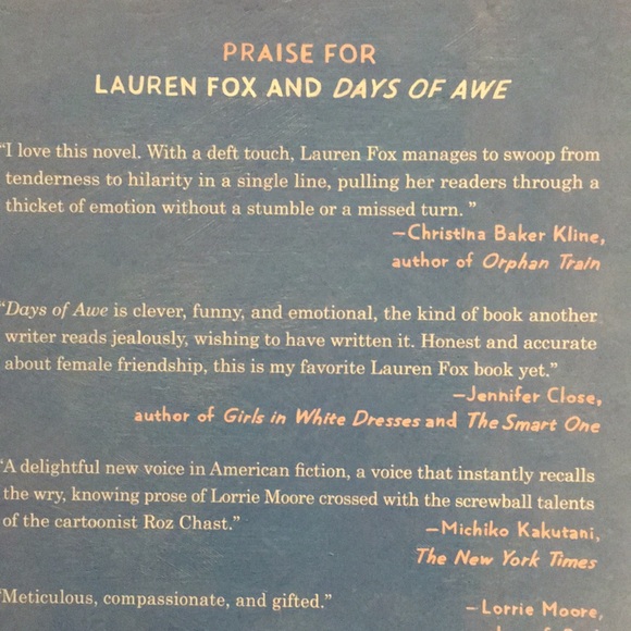 BOOK: Days of Awe by Lauren Fox (hardcover) - Picture 4 of 8